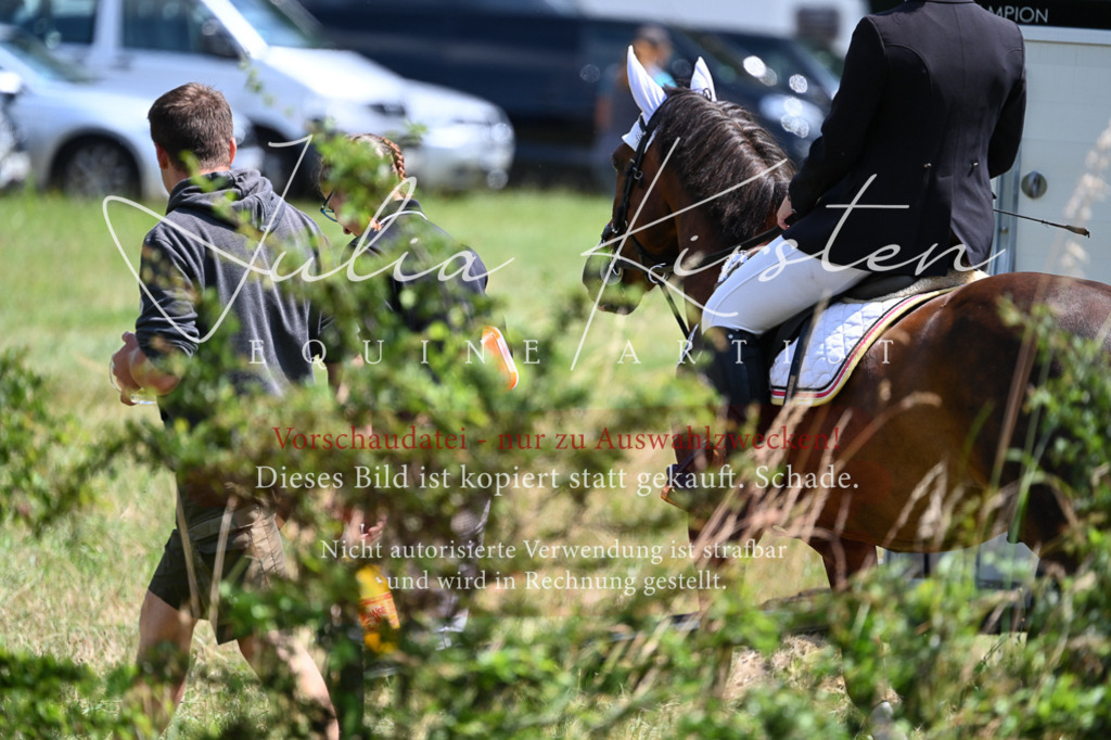 DSC_9538 | Pferde- und Turnierfotografie in Westsachsen. Pferdeportraits, Auftragszeichnungen und intuitive Kunst.
