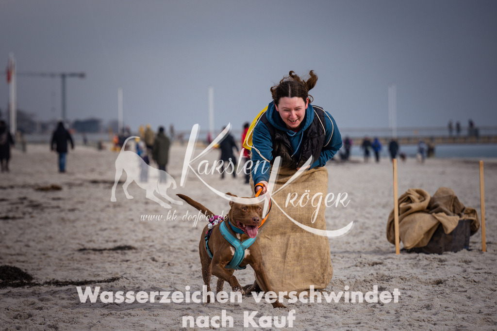1243_ZZ95286 | kk-dogfotos
