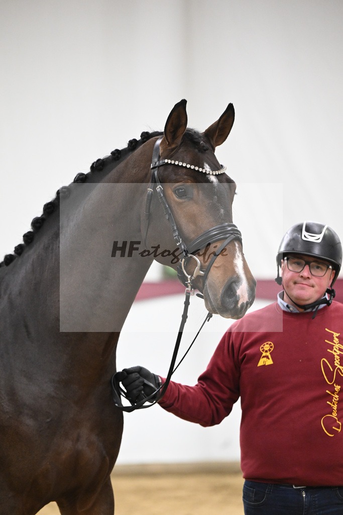 Kat-Nr. 94 Conthalou x Stalypso_Matthias Schlamminger GmbH_47253058 | hf-fotografie - Realisiert mit Pictrs.com