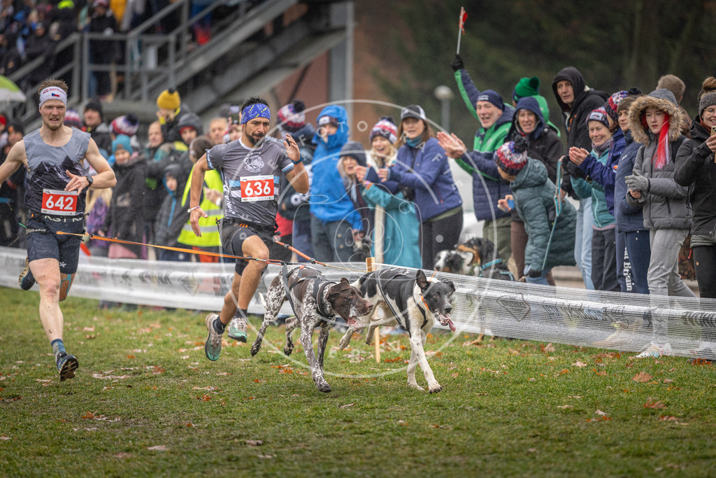 CaniXpix_DV3A9812 | Hundefotografie, Tierfotograf, Pfotenfotografie, Fotoshooting Hund, Hunde Portrait, Hundesport, Hundeportraits, Heideshooting, Hunde, Sportfotograf, Hundefotograf, Turnierhundsport, THS,  - Realisiert mit Pictrs.com