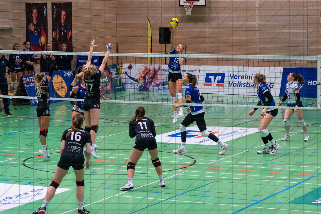 2. VBLF Nord 25/26 | Spiel 4041 | VC Osnabrück vs. RC Sorpesee | //  30.11.25: 2. VBLF Nord 25/26 | Spiel 4041 | VC Osnabrück vs. RC Sorpesee / Osnabrück / Deutschland  //   CREDIT:www.bullenfotos.de, Martin König, Hörner Weg 40, D-49078 Osnabrück, +4917663732967 // Nutzung und Weitergabe nur zu den vereinbarten Zwecken. Presseanfragen an Ersteller. Alle Rechte beim Ersteller. Honorierung nach MFM. - Realisiert mit Pictrs.com