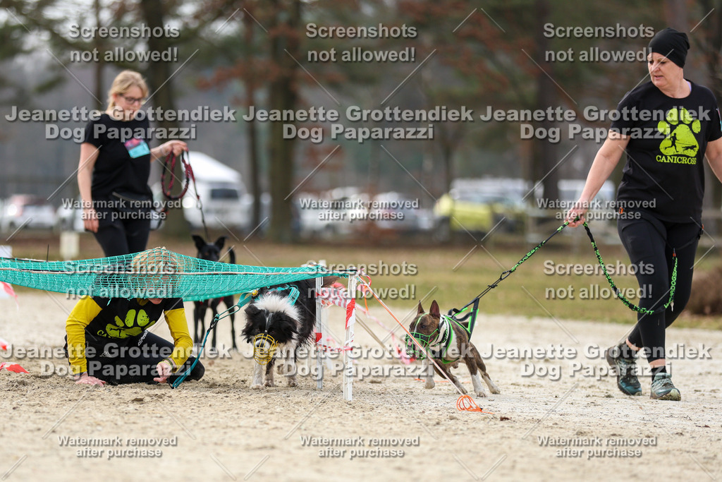 Dog Paparazzi - Strongdog North Mrz26-5629 | Dog Paparazzi Jeanette Grottendiek Fotografie & Videografie - Realisiert mit Pictrs.com
