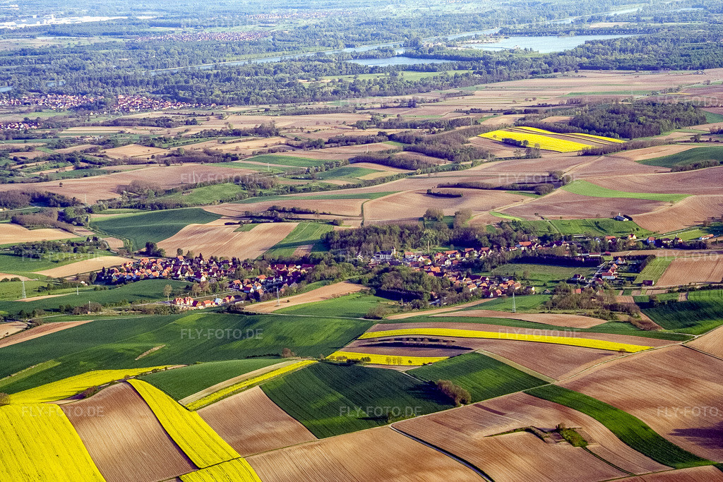 Luftbild: Ortsansicht von Norden in Neewiller-près-Lauterbourg im Bundesland Bas-Rhin in Frankreich.Foto: IMG_10597.jpg vom 04.05.2008 durch Werner Riehm/FLY-FOTO.deAuflösung des Originals: 3456 x 2304 px