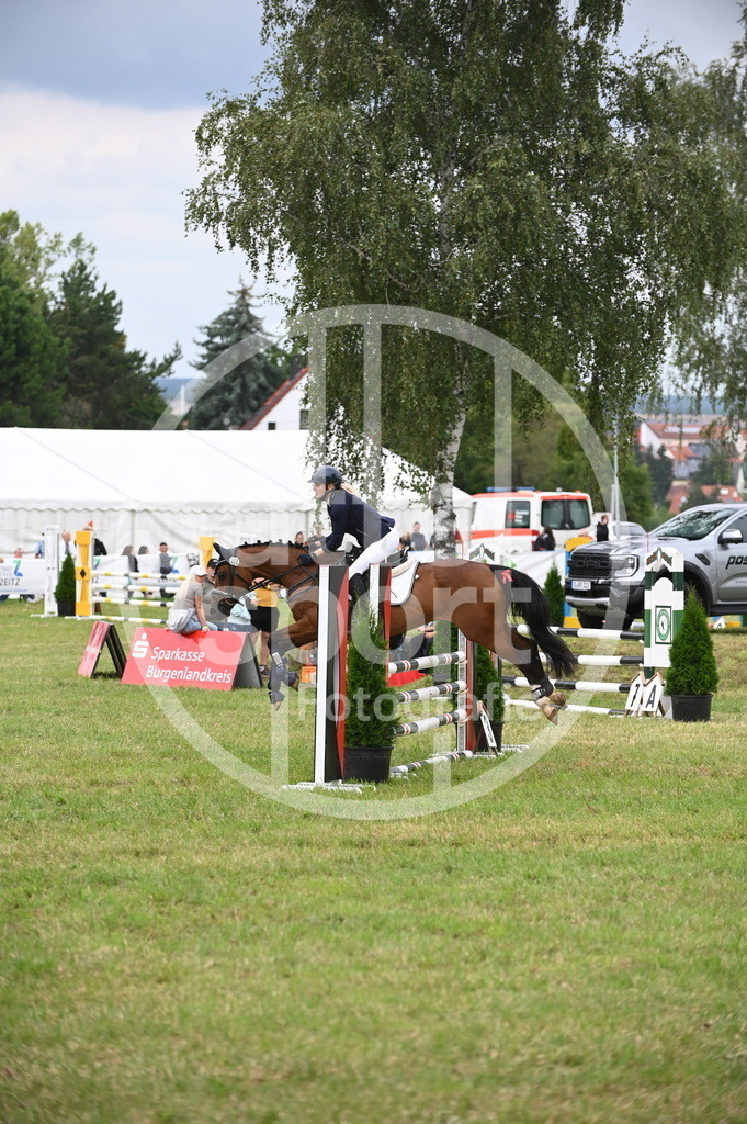 DSC_1504 | sattelsport - Realisiert mit Pictrs.com