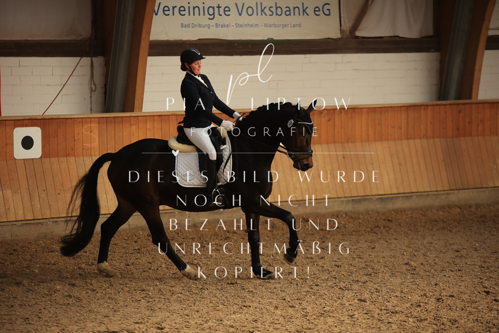 IMGT4648 | pl-fotografie