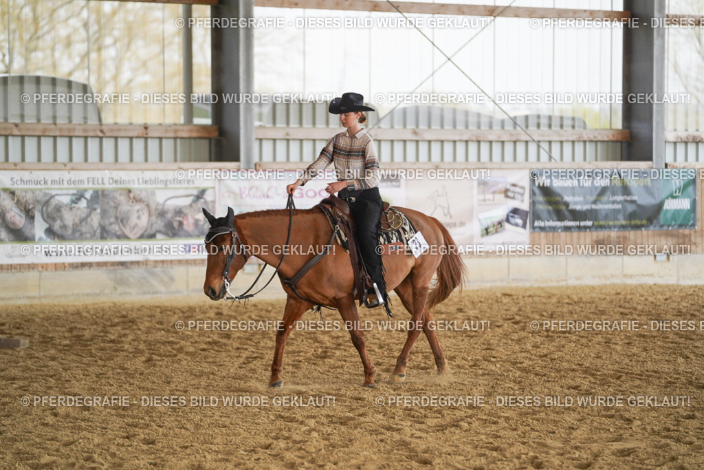 DSC00081 | Pferdegrafie