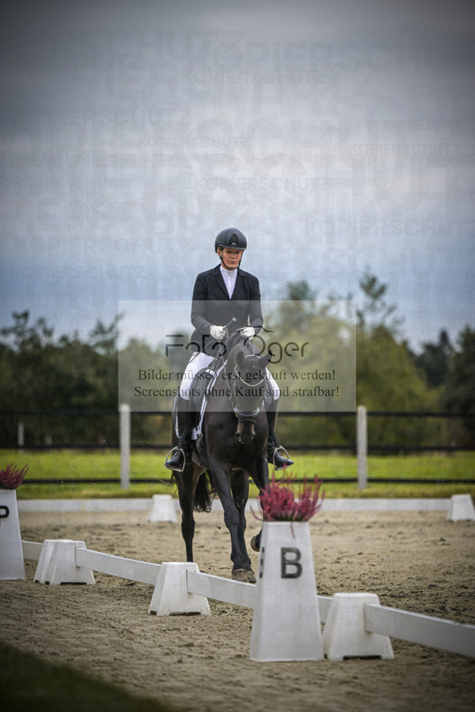 DOS_1483 | Entdecke hochwertige Reitturnierfotos von Foto Oger. Professionell, emotional und authentisch – jetzt Lieblingsmomente im Shop bestellen.Deutschlandweite Turnierfotografie. - Realisiert mit Pictrs.com