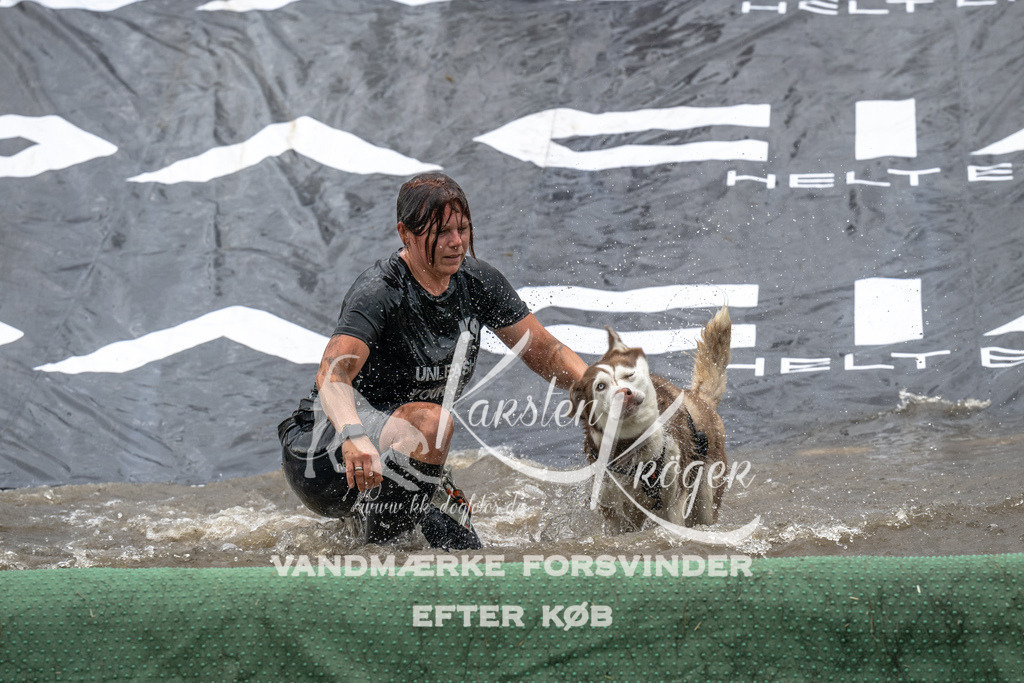 1339_ZZ92844 | kk-dogfotos