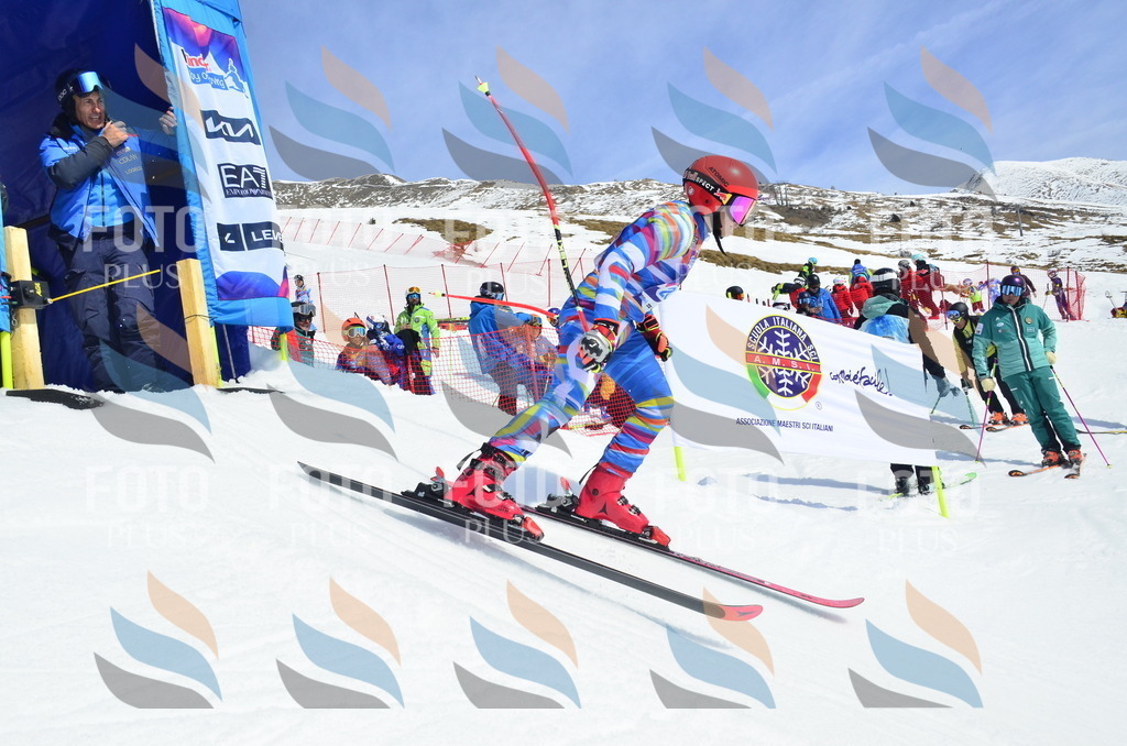 _ELE1396 | holidayphoto