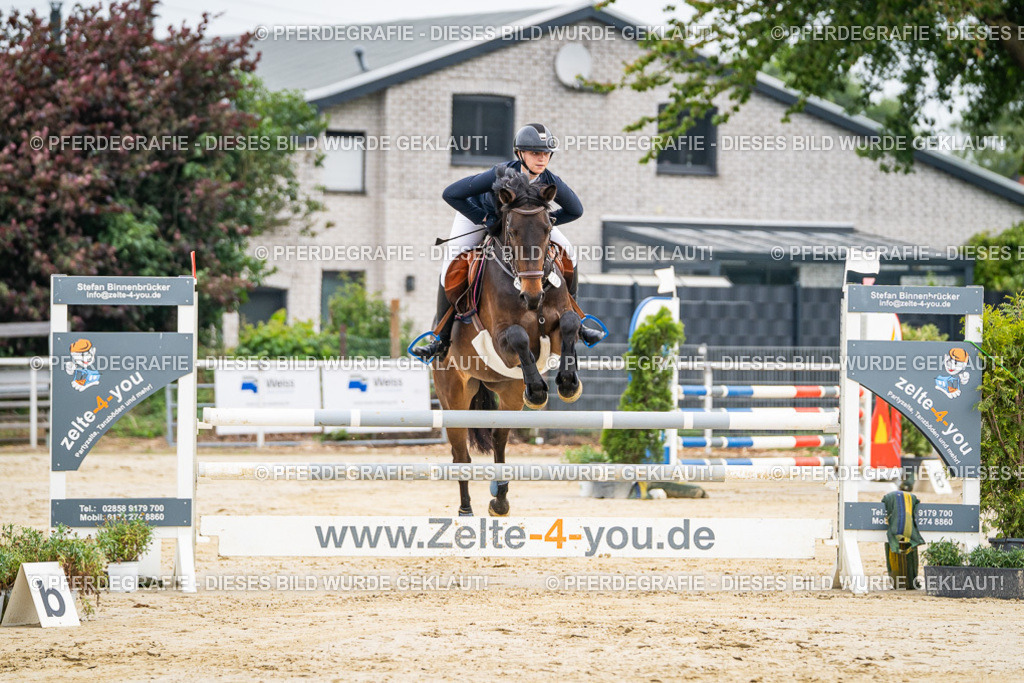 DSC09278 | Pferdegrafie