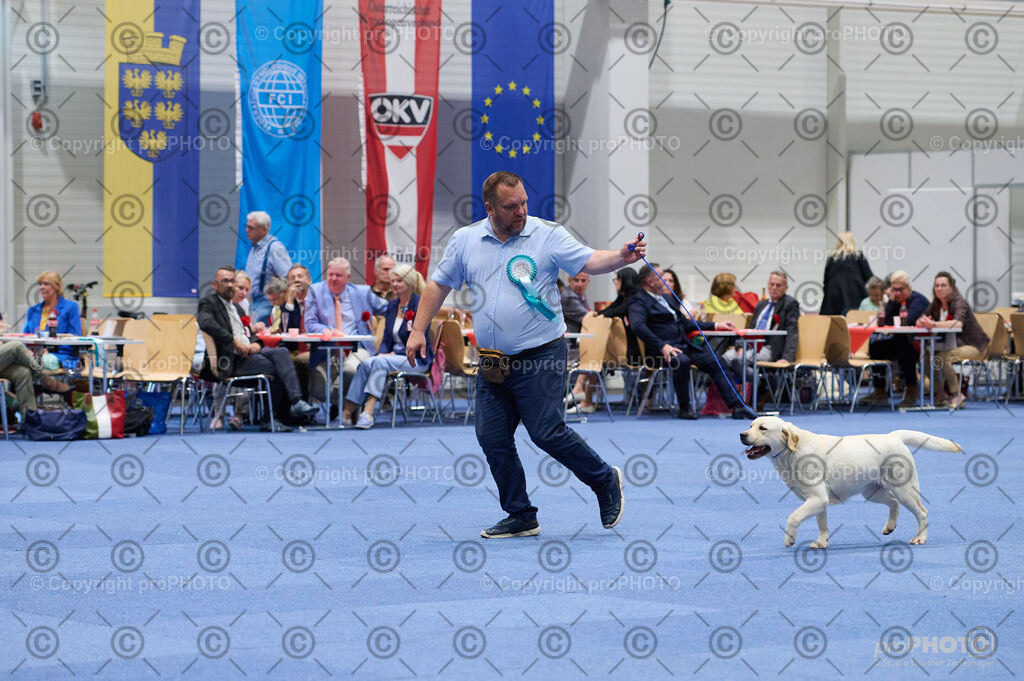 202406_ÖKV-IHA-Tulln24_DSC_3165 | proPHOTO - Realisiert mit Pictrs.com