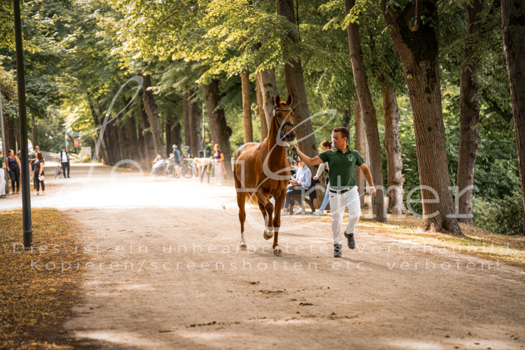 FrPfM00070 | Leoni Ertmer Photography - Realisiert mit Pictrs.com