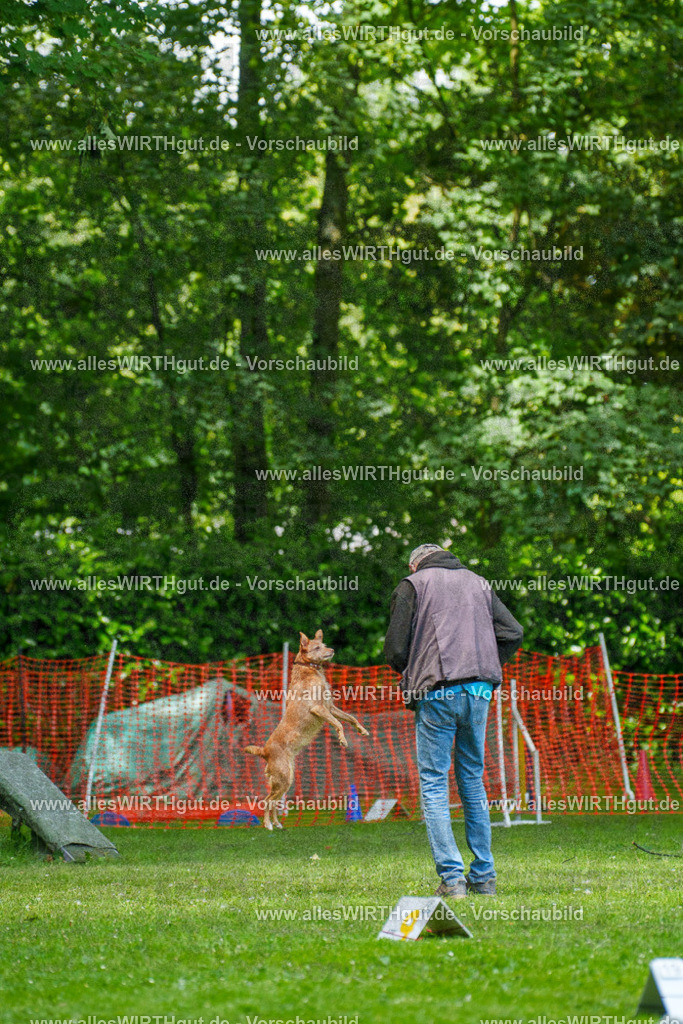 @allesWIRTHgut_Tierfotografie - www.allesWIRTHgut.de - 7R504124 | Professionelle Tierfotografie in Mönchengladbach von Daniel Wirth (allesWIRTHgut). Liebevolle & natürliche Bilder von Hunden & Katzen für unvergessliche Erinnerungen.
