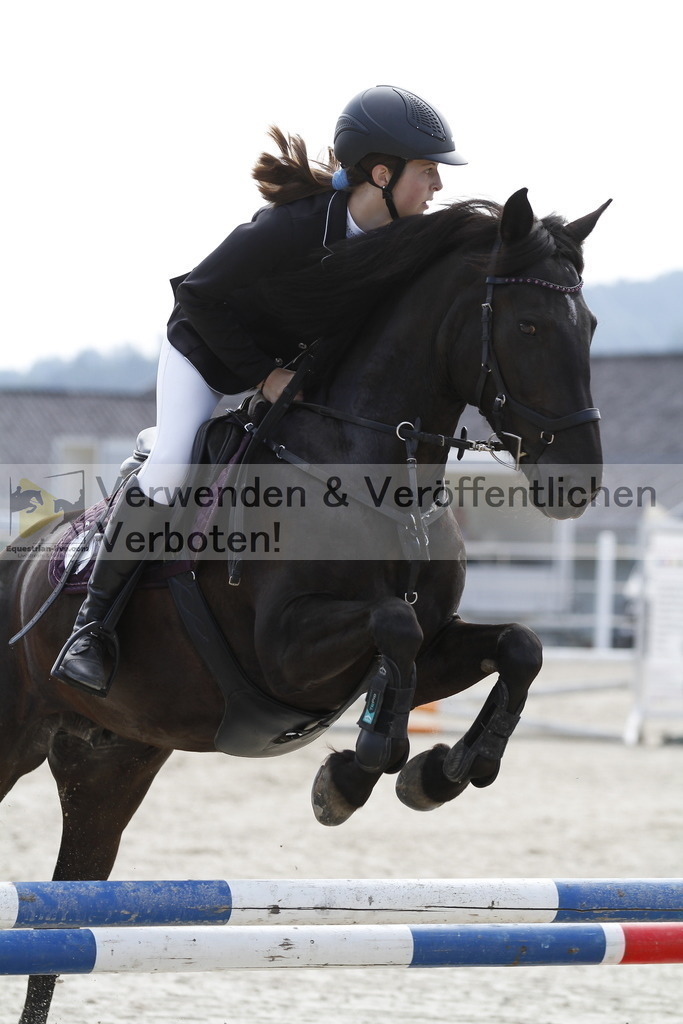 _MG_3312 | equestrian-live-com