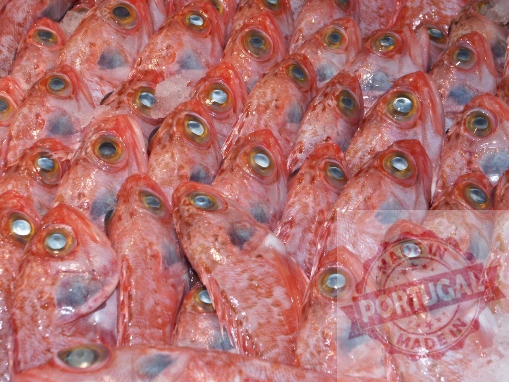 Fresh red fish for sale at market | Red fish heads with prominent eyes on ice, ready for cooking - Realized with Pictrs.com