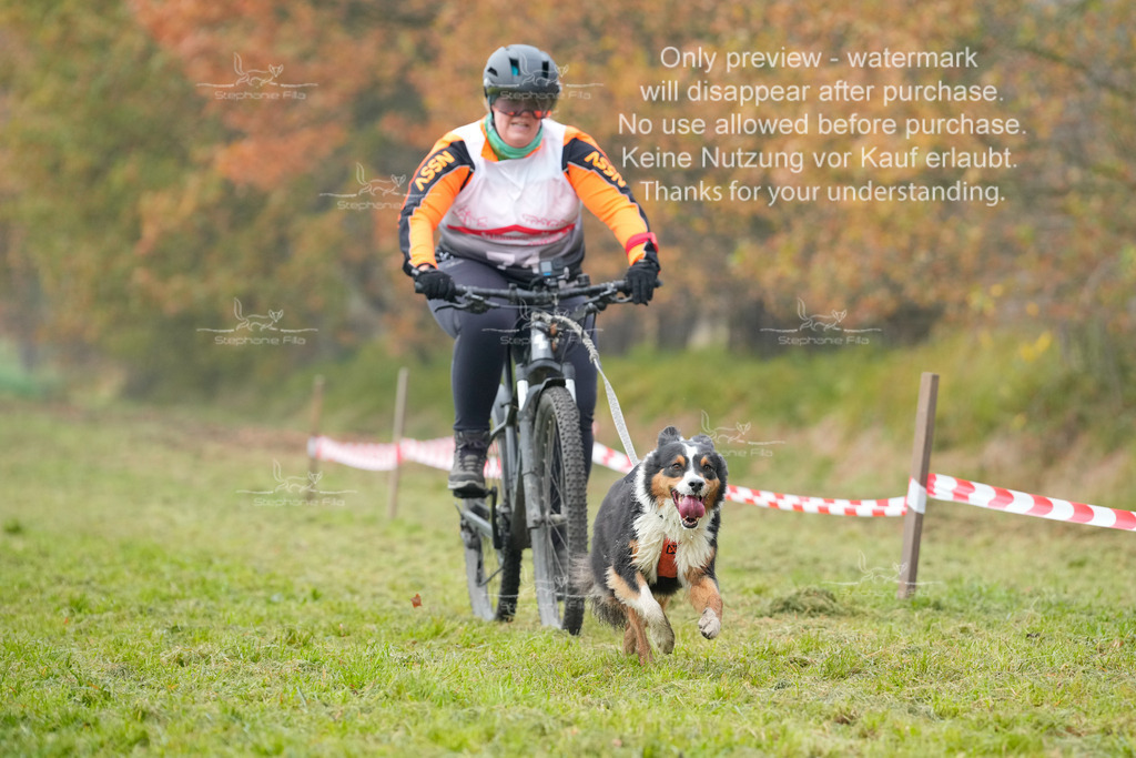 Visbeck_Sa_Bike-185 | stephaniefillaphotographie - Realisiert mit Pictrs.com