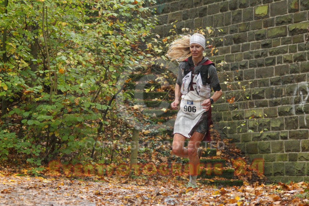 241027_1130_EV4_5929 | Sportfotografie im Rhein-Sieg Kreis, Köln, Bonn, NRW, Rheinland Pfalz, Hessen, etc. Unser Tätigkeitsfeld umfasst den Laufsport vom Volkslauf über den Marathon, Duathlon, Triathon bis zum Ultralauf wie Kölnpfad Ultra oder Schindertrail.