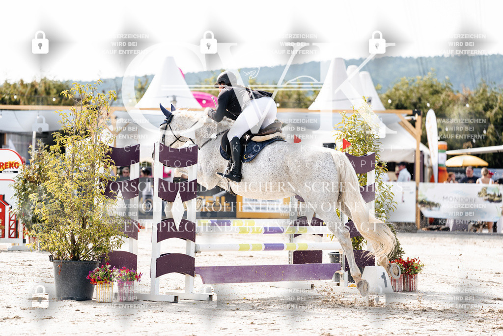 CK905483 | Turnierfotografie Pferdefotografie Trier Rheinland-Pfalz Pferdesport Reitsport Tierfotografie Sportfotografie Pferdevideo Pferdevideografie Equestrianvideography equestrianphotography  - Realisiert mit Pictrs.com