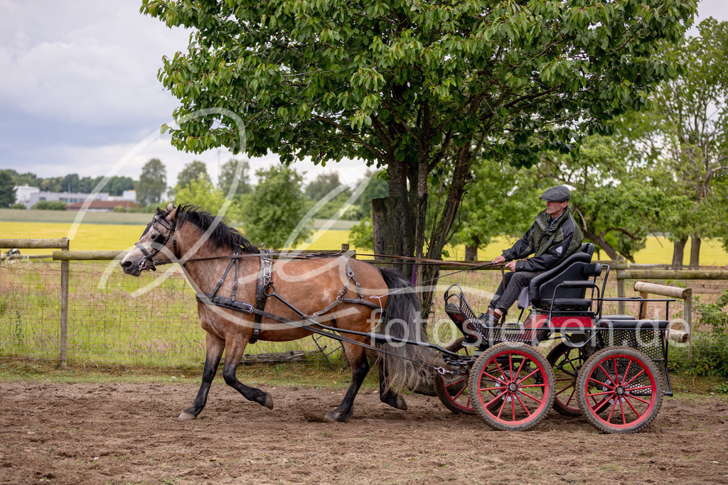 846A0590 | fotosleben - Realisiert mit Pictrs.com