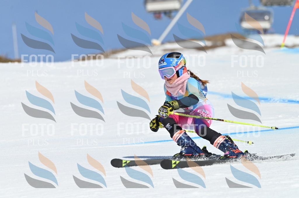 BGV_9021 | holidayphoto