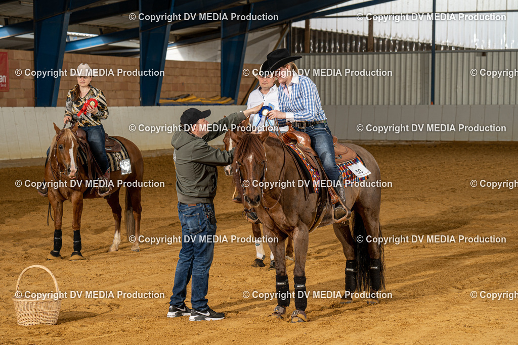 MIT00331 | dv-media-shop - Realisiert mit Pictrs.com