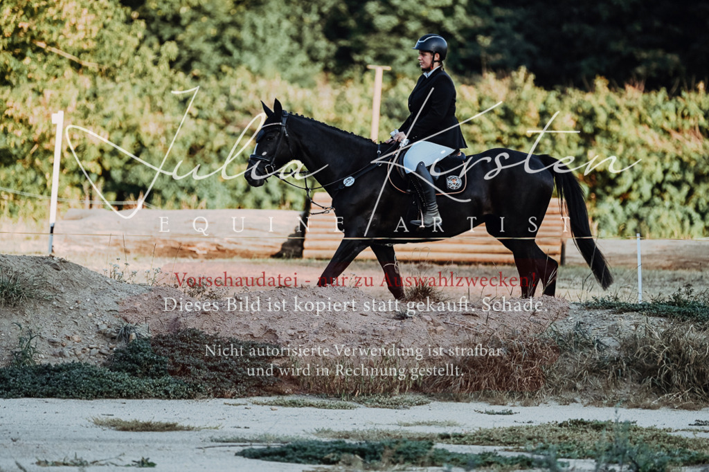DSC_9316 | Pferde- und Turnierfotografie in Westsachsen. Pferdeportraits, Auftragszeichnungen und intuitive Kunst.