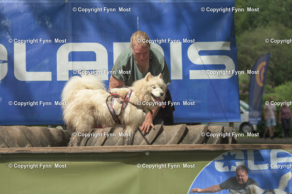 DSC_0382 | Hallo und herzlich Willkommen auf meiner Shop-Seite Fynn Most.

Ich wünsche Dir viel Spaß beim stöbern durch die Bilder, wenn Du Fragen hast oder Bilder vermisst, kannst du mir gerne eine Nachricht schreiben. - Realisiert mit Pictrs.com