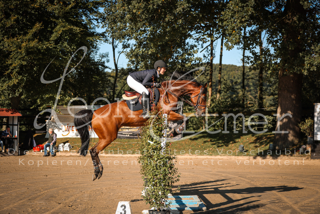 17.SoSpM200185 | Leoni Ertmer Photography - Realisiert mit Pictrs.com
