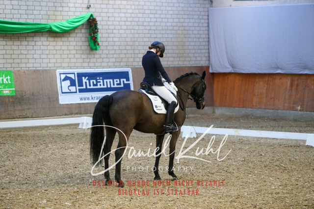 IMG_2685 | Turnierfotos kaufen im Webshop von Daniel Kuhl Photography – entdecke professionelle Reitsportfotos aus Turnieren & Events. Hochwertige Turnierbilder online bestellen & sichern. Jetzt Fotos von Reitsportturnieren kaufen!