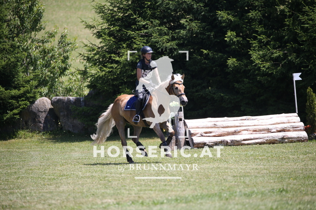 DL2Q0880 | Willkommen bei Brunnmayr - Design & Fotografie – Ihrem Spezialisten für Reitturniere und Pferdeveranstaltungen in Oberösterreich, Salzburg und Bayern! Seit über 17 Jahren sind wir leidenschaftlich dabei.