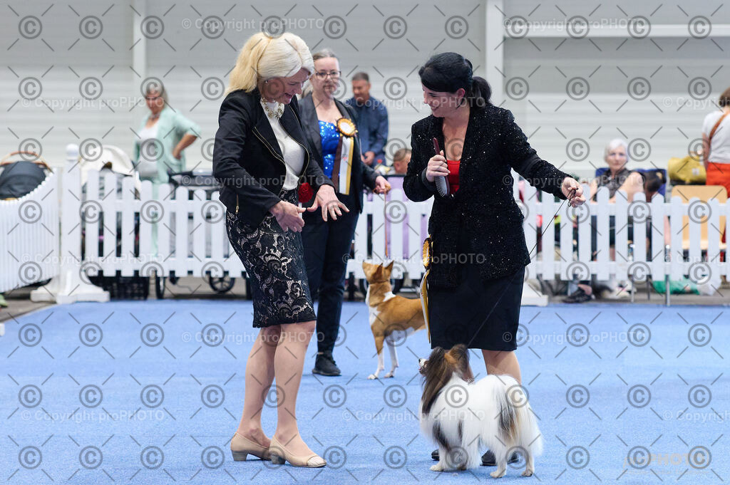 202406_ÖKV-IHA-Tulln24_DSC_4884 | proPHOTO - Realisiert mit Pictrs.com