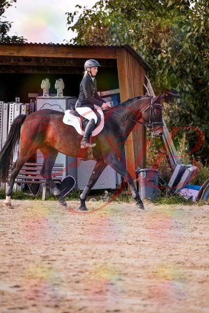 2026_10_03_Siefer-Hof_143946_Z81_10073084 | Professionelle Reitsport-, Turnier- und Eventfotografie von Robert Broda. Galerien mit ausgewählten und bearbeiteten Bildern direkt online ansehen und bestellen.