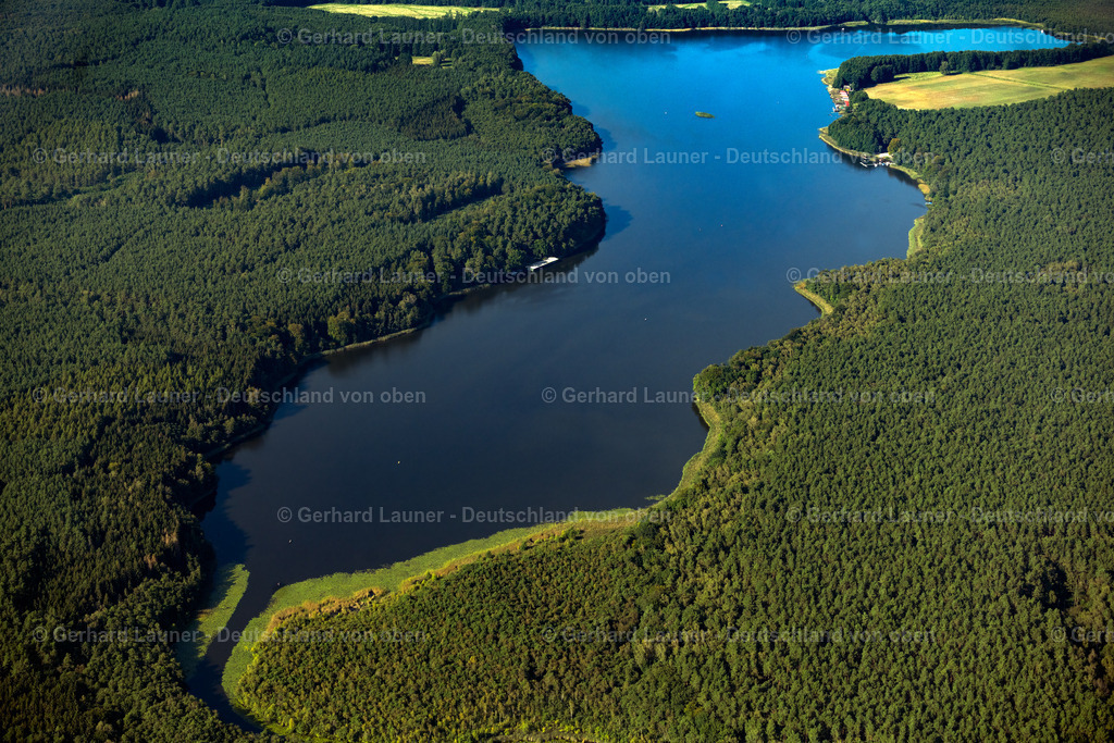 4062300 | ROGGENTIN 08.09.2021 Waldgebiete am Ufer des See Leppinsee in Roggentin im Bundesland Mecklenburg-Vorpommern. // Forests on the shores of Lake Leppinsee in Roggentin in the state Mecklenburg - Western Pomerania. Foto: Gerhard Launer