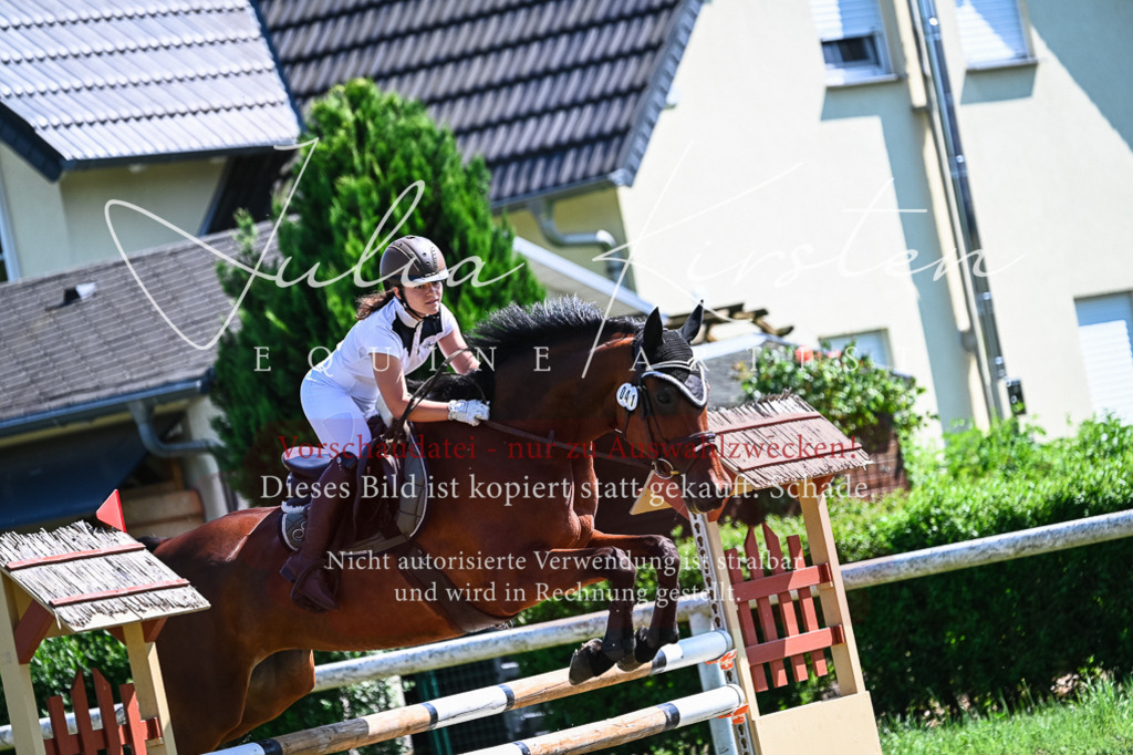 DSC_1210 | Pferde- und Turnierfotografie in Westsachsen. Pferdeportraits, Auftragszeichnungen und intuitive Kunst.