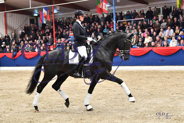 111 Le Formidable DSC_0105 | <meta name="description" content="★Offizieller Merchandise und Foto-/Videostore des Oldenburger Verbandes.★ ✅Jetzt auch digital Ausdrucke erhältlich." />
<meta name="keywords" content="Merchandise Foto-/Videostore Oldenburger Verband Photographie 