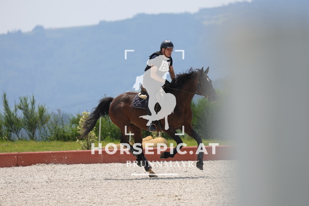 0P6A8570 | Willkommen bei Brunnmayr - Design & Fotografie – Ihrem Spezialisten für Reitturniere und Pferdeveranstaltungen in Oberösterreich, Salzburg und Bayern! Seit über 17 Jahren sind wir leidenschaftlich dabei.
