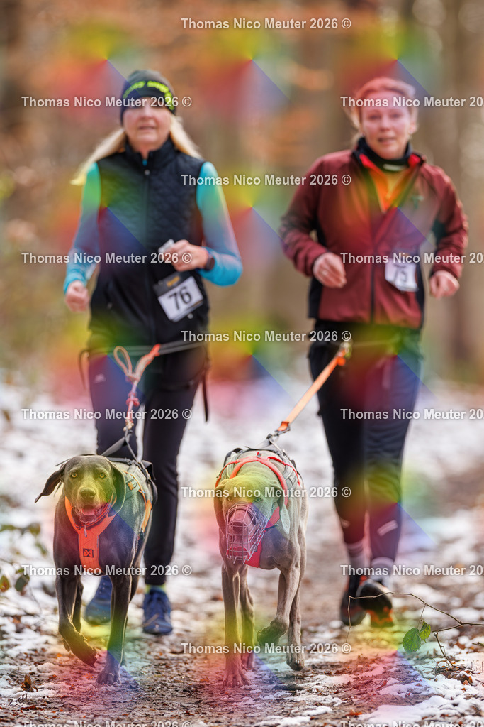 Thomas_Nico_Meuter(C)_223A9143 | Bild von Thomas Nico Meuter - Realisiert mit Pictrs.com