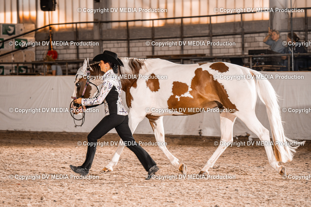 ZH100184 | dv-media-shop - Realisiert mit Pictrs.com