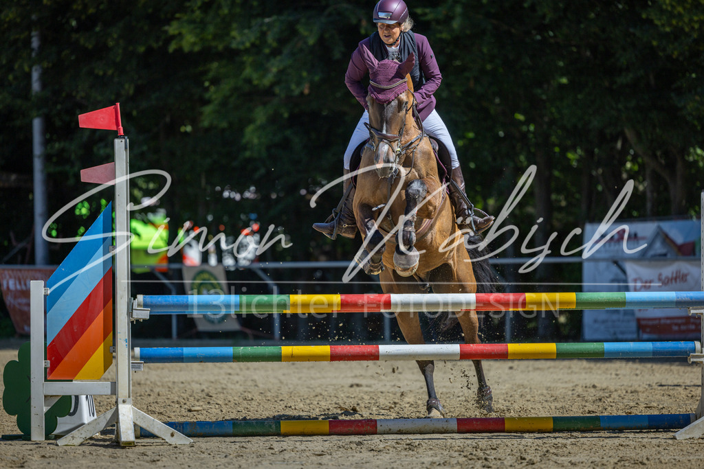 20260704-_3LI7681 | Tierfotografie Pferde, Hunde, Katzen, Haustiere.
Turnierfotografie Reitturniere, Reiten, Springreiten, Dressur in Hanau, dem Main-Kinzig-Kreis und dem Rhein-Main- Gebiet um Frankfurt