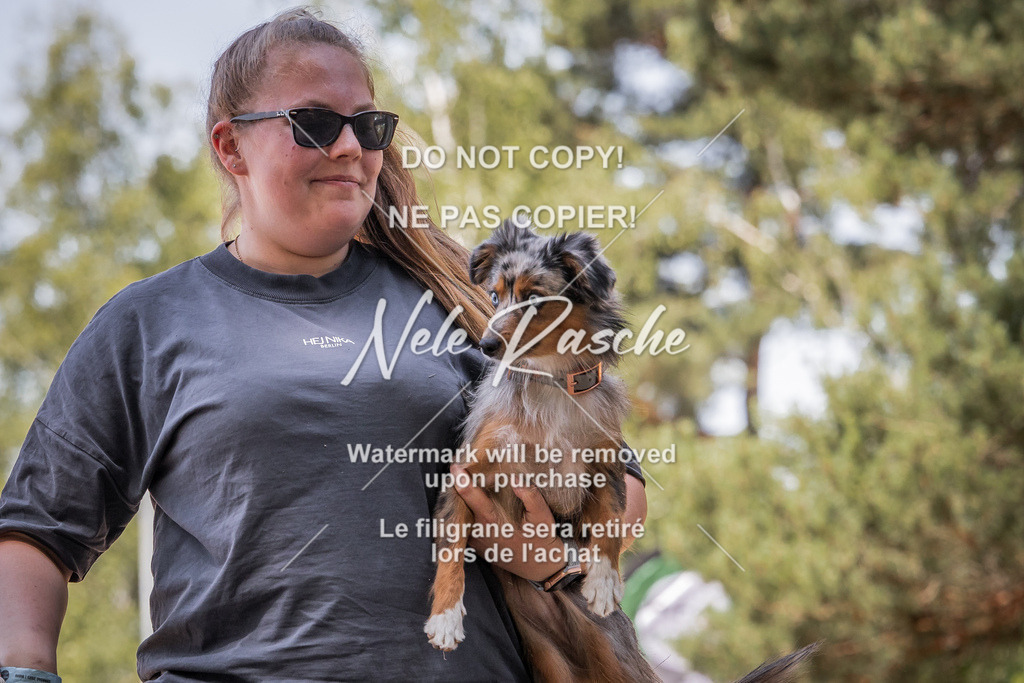 nelerasche_soDD3_292 | nelerasche