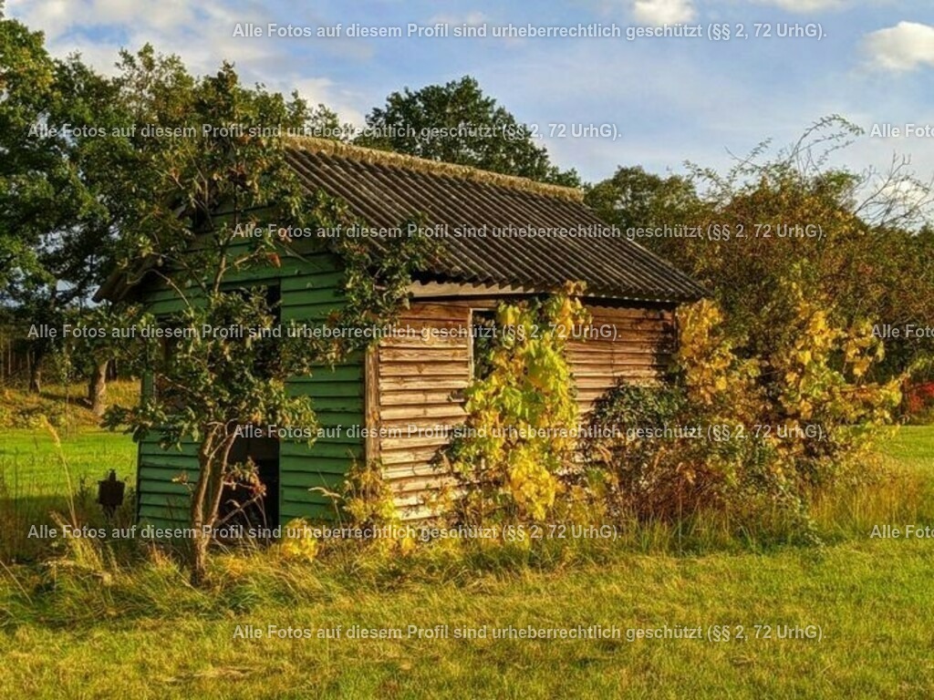 8a858dd85f46c9c7da278b517f38a979 | krollfotografie - Realisiert mit Pictrs.com