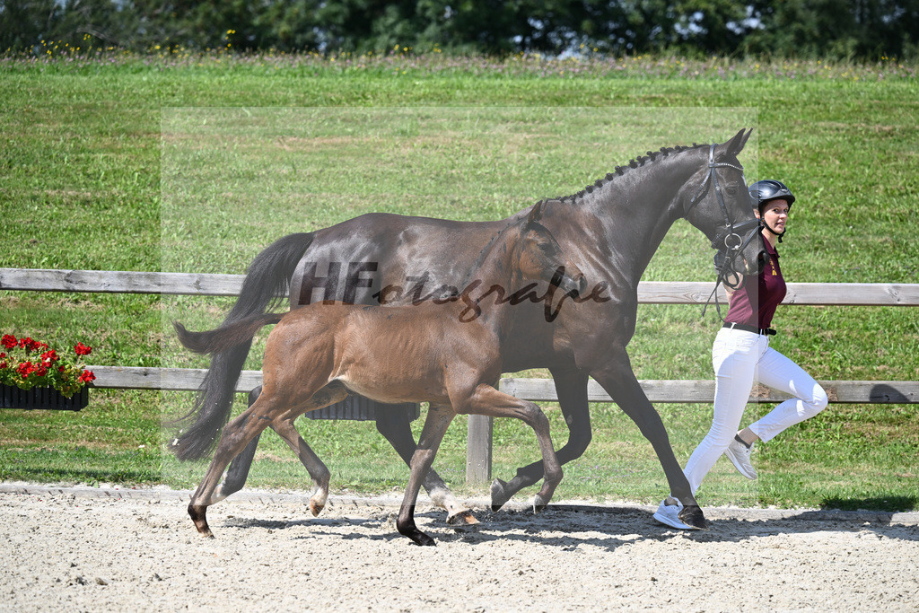 Escaneno x Dante Weltino_HF_Ruth_29240290 | hf-fotografie - Realisiert mit Pictrs.com