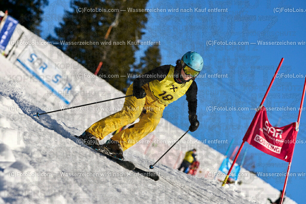 ALP8794_NOe-BetriebsSKI-LM_Mitackova Magdalena | (C)FotoLois.com, Alois Spandl. 51. Niederösterreichische LandesBetriebs-Skimeisterschaften, best of two, Almlift-Piste Hochkar, LSV - Schiclub Göstling-Hochkar, Fr 16. Februar 2024.