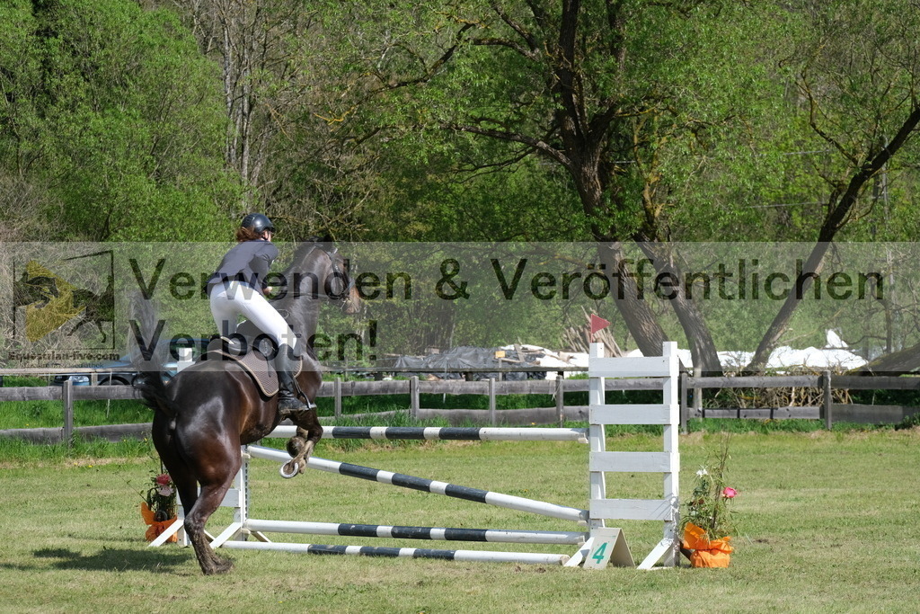 DSCF8504 | equestrian-live-com