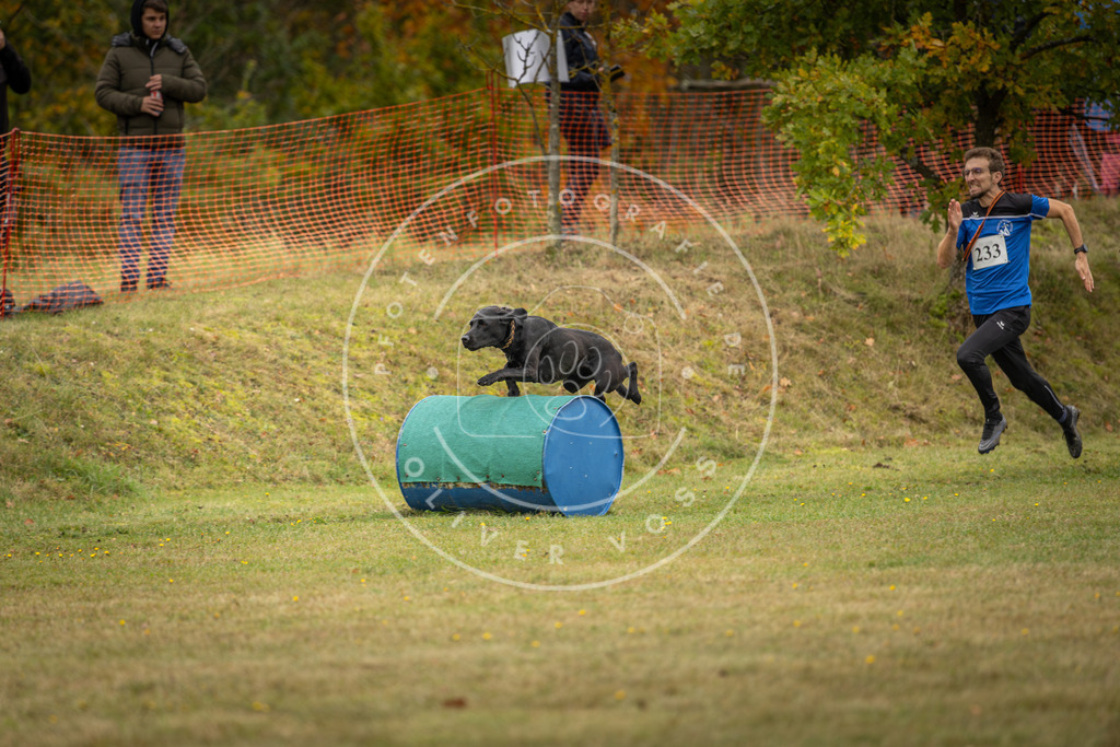 Pfotenfotografie_DV3A5630 | Hundefotografie, Tierfotograf, Pfotenfotografie, Fotoshooting Hund, Hunde Portrait, Hundesport, Hundeportraits, Heideshooting, Hunde, Sportfotograf, Hundefotograf, Turnierhundsport, THS,  - Realisiert mit Pictrs.com