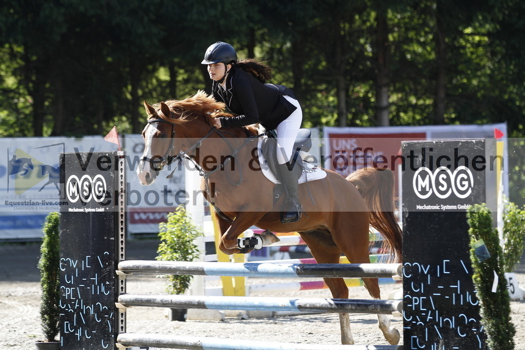 _MG_1353 | equestrian-live-com