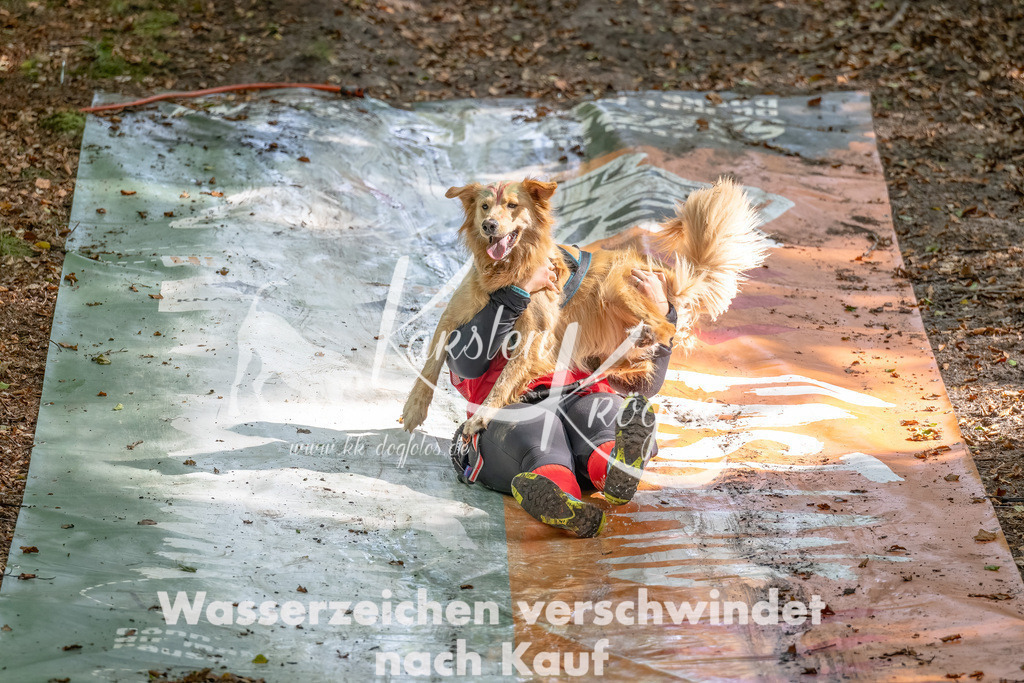1225_ZZ94757-Bearbeitet | kk-dogfotos