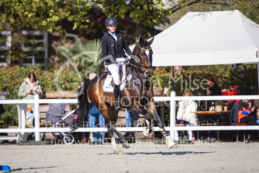 240424_Lemwerder_Stil-L-131 | Deine schönsten Turniermomente als professionelle Fotos! Entdecke hochwertige Pferdesport-Fotografie im Online-Shop. Jetzt Fotos finden & bestellen!