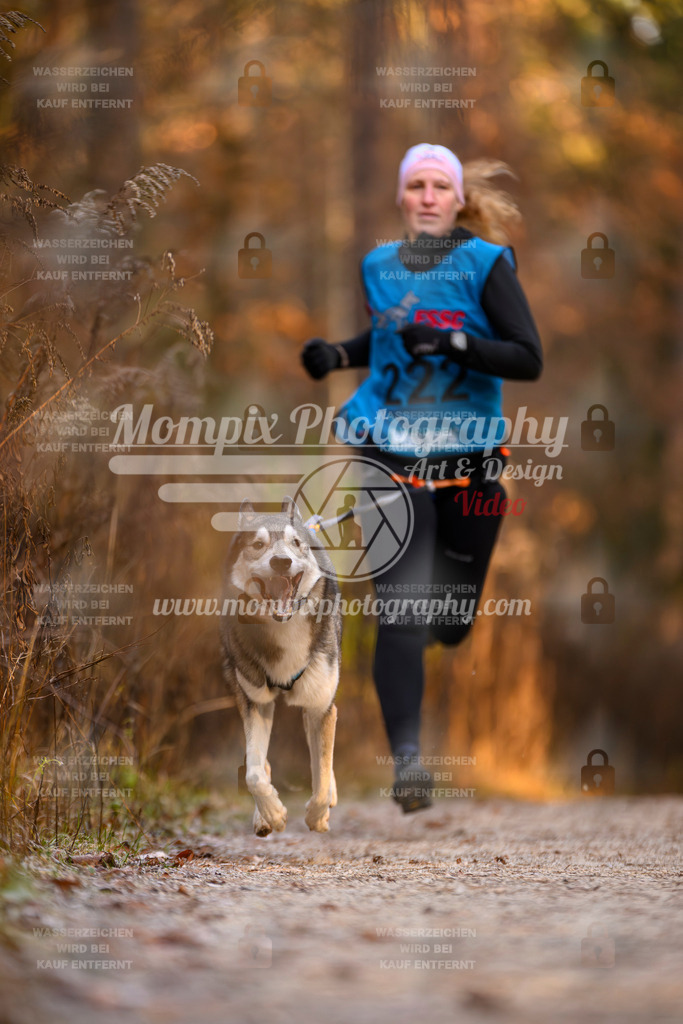 MompixPhotography_DM_AKDM_SO_2025_-73 | PayLife