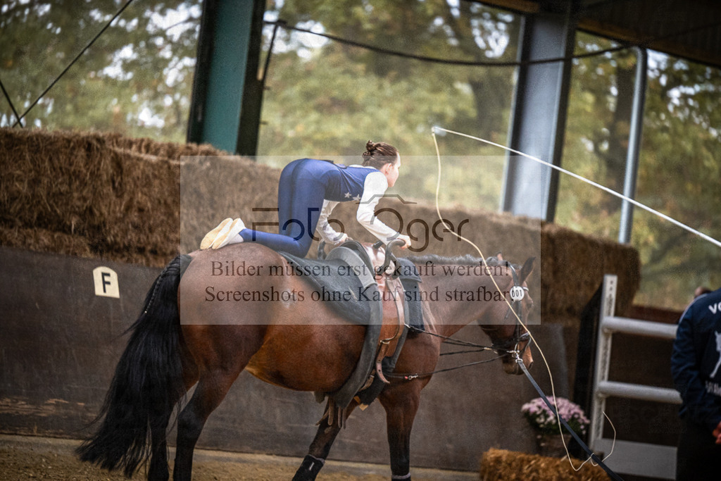 DOS_0062 | Entdecke hochwertige Reitturnierfotos von Foto Oger. Professionell, emotional und authentisch – jetzt Lieblingsmomente im Shop bestellen.Deutschlandweite Turnierfotografie. - Realisiert mit Pictrs.com